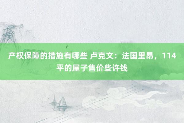 产权保障的措施有哪些 卢克文：法国里昂，114平的屋子售价些许钱