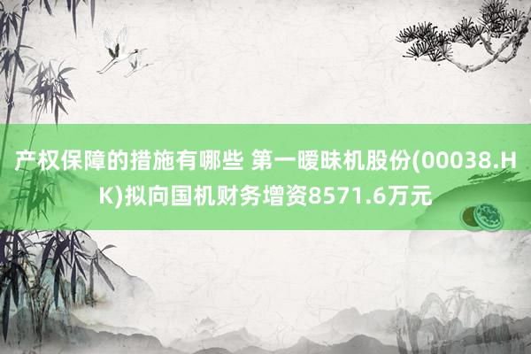 产权保障的措施有哪些 第一暧昧机股份(00038.HK)拟向国机财务增资8571.6万元