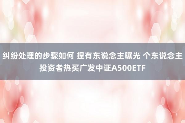 纠纷处理的步骤如何 捏有东说念主曝光 个东说念主投资者热买广发中证A500ETF