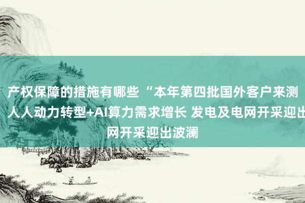 产权保障的措施有哪些 “本年第四批国外客户来测验”！人人动力转型+AI算力需求增长 发电及电网开采迎