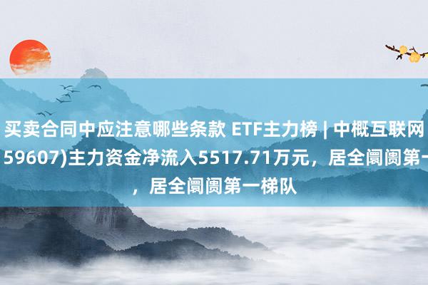 买卖合同中应注意哪些条款 ETF主力榜 | 中概互联网ETF(159607)主力资金净流入5517.