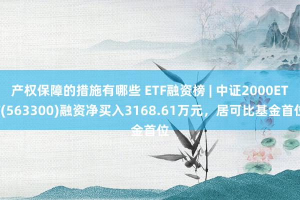 产权保障的措施有哪些 ETF融资榜 | 中证2000ETF(563300)融资净买入3168.61万