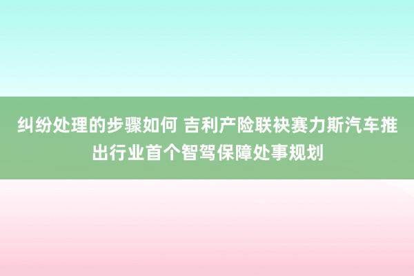 纠纷处理的步骤如何 吉利产险联袂赛力斯汽车推出行业首个智驾保障处事规划