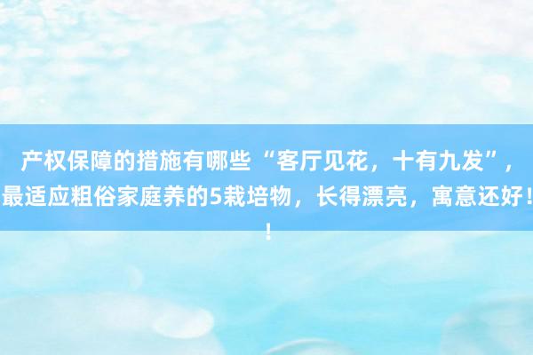 产权保障的措施有哪些 “客厅见花，十有九发”，最适应粗俗家庭养的5栽培物，长得漂亮，寓意还好！