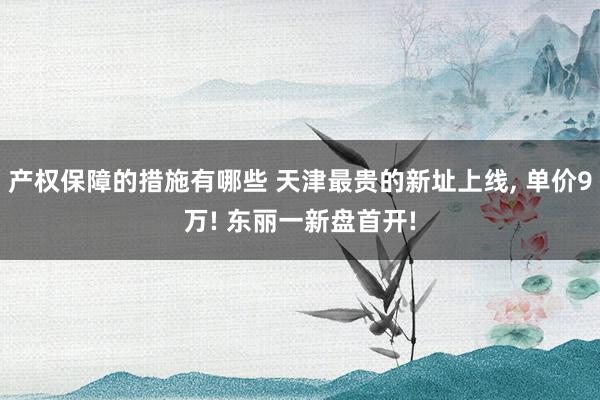 产权保障的措施有哪些 天津最贵的新址上线, 单价9万! 东丽一新盘首开!