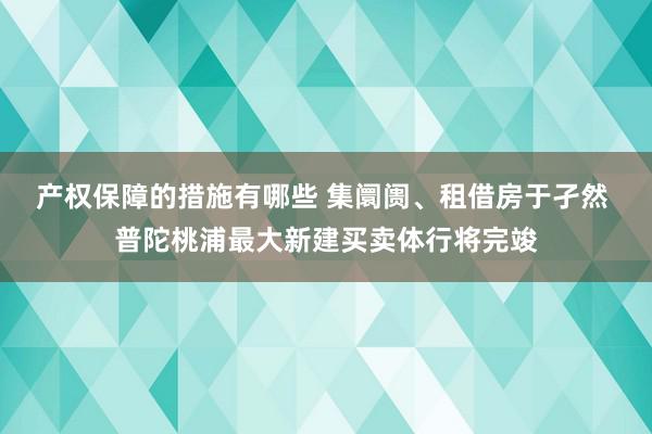 产权保障的措施有哪些 集阛阓、租借房于孑然 普陀桃浦最大新建买卖体行将完竣