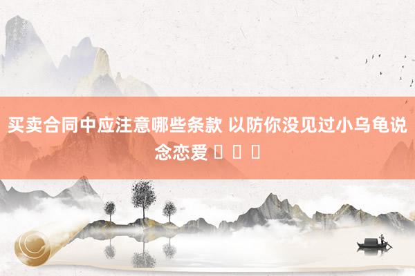 买卖合同中应注意哪些条款 以防你没见过小乌龟说念恋爱 ​​​