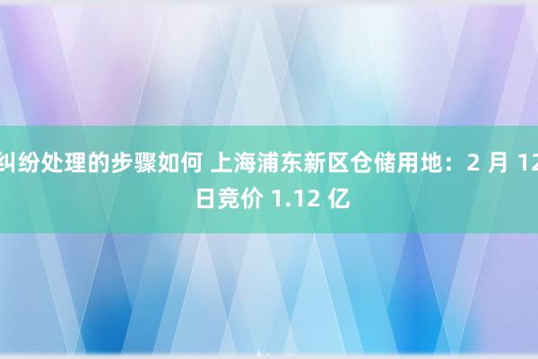 纠纷处理的步骤如何 上海浦东新区仓储用地：2 月 12 日竞价 1.12 亿