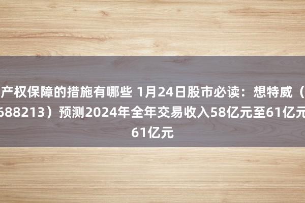 产权保障的措施有哪些 1月24日股市必读：想特威（688213）预测2024年全年交易收入58亿元至61亿元