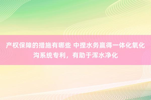 产权保障的措施有哪些 中捏水务赢得一体化氧化沟系统专利，有助于浑水净化