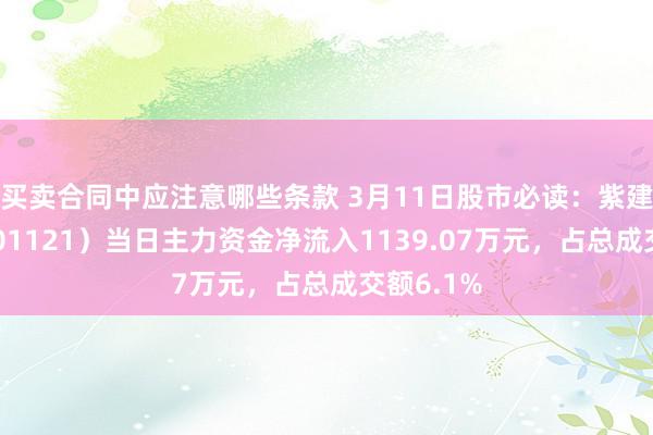 买卖合同中应注意哪些条款 3月11日股市必读：紫建电子（301121）当日主力资金净流入1139.0