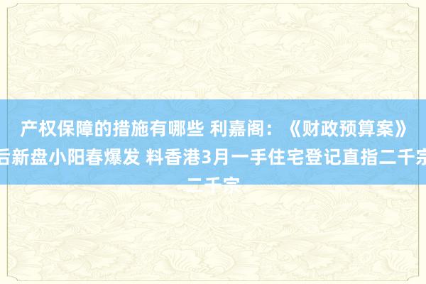 产权保障的措施有哪些 利嘉阁：《财政预算案》后新盘小阳春爆发 料香港3月一手住宅登记直指二千宗