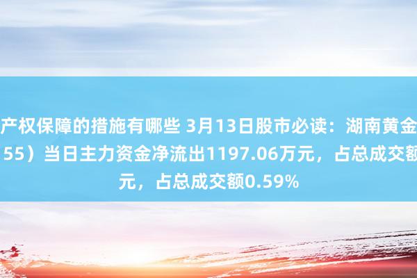 产权保障的措施有哪些 3月13日股市必读：湖南黄金（002155）当日主力资金净流出1197.06万元，占总成交额0.59%