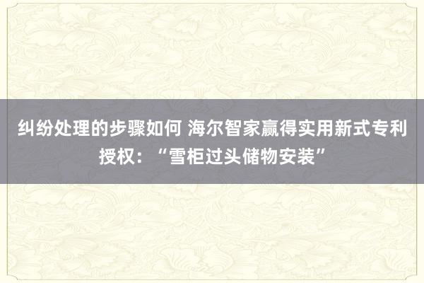 纠纷处理的步骤如何 海尔智家赢得实用新式专利授权：“雪柜过头储物安装”