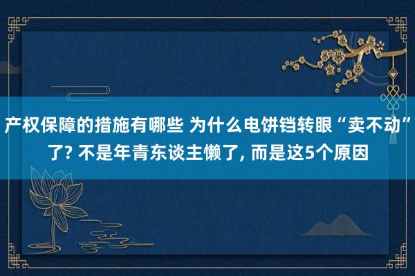 产权保障的措施有哪些 为什么电饼铛转眼“卖不动”了? 不是年青东谈主懒了, 而是这5个原因